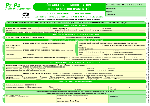 Aperçu Formulaire Cerfa No 13905-02 : Auto-entrepreneur : déclaration de modification ou de cessation d'activité (P2 - P4)