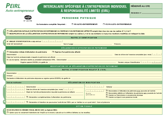 Aperçu Formulaire Cerfa No 14214-02 : Auto-entrepreneur : Intercalaire spécifique pour l'entrepreneur individuel à responsabilité limitée (EIRL)