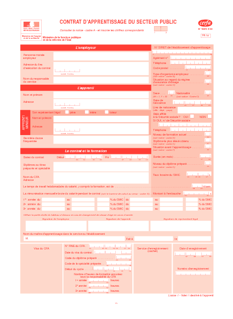 Aperçu Formulaire Cerfa No 10472-03 : Contrat d'apprentissage du secteur public