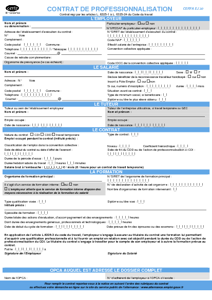 Aperçu Formulaire Cerfa No 12434-02 : Contrat de professionnalisation