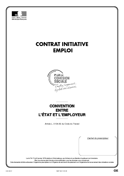 Aperçu Formulaire Cerfa No 12498-01 : Contrat initiative emploi (convention entre l'Etat et l'employeur)