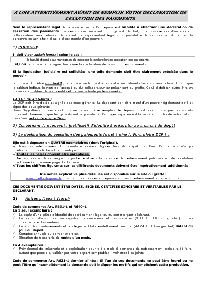 Aperçu Formulaire Cerfa No 10530-01 : Déclaration de cessation des paiements