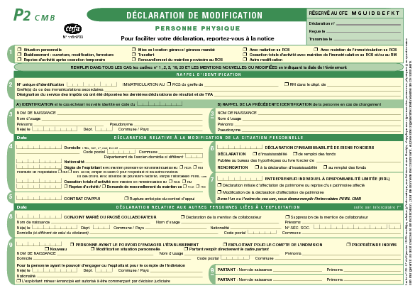 Aperçu Formulaire Cerfa No 11678-03 : Déclaration de modification d'une entreprise - Personne physique (P2)