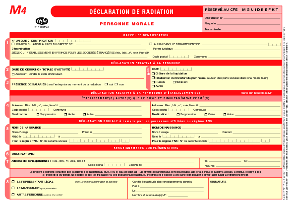 Aperçu Formulaire Cerfa No 11685-02 : Déclaration de radiation d'une entreprise - Personne morale (M4)