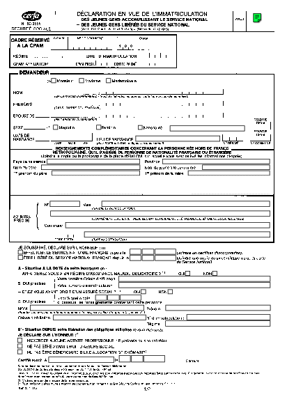 Aperçu Formulaire Cerfa No 60-3596 : Déclaration en vue de l'immatriculation des jeunes gens accomplissant le service national ou libérés du service national