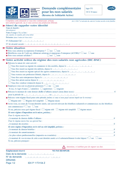 Aperçu Formulaire Cerfa No 13882-03 : Demande complémentaire pour les non-salariés (Revenu de Solidarité Active)