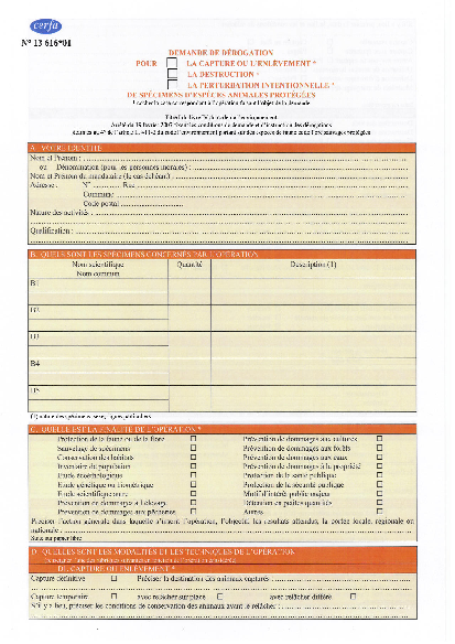 Aperçu Formulaire Cerfa No 13616-01 : Demande de dérogation pour la capture, l'enlèvement, la destruction, la pertubation intentionnelle de spécimens d'espèces animales protégées