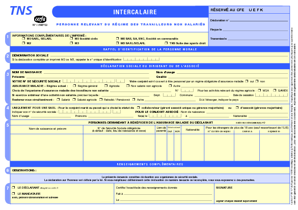 Aperçu Formulaire Cerfa No 11686-03 : Intercalaire - Régime des travailleurs non salariés (TNS)