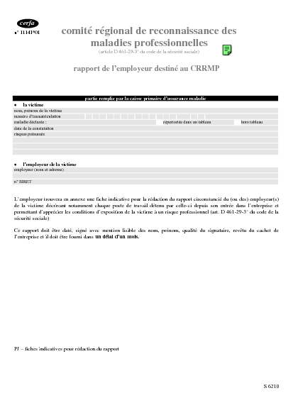 Aperçu Formulaire Cerfa No 11141-01 : Rapport de l'employeur destiné au comité régional des maladies professionnelles