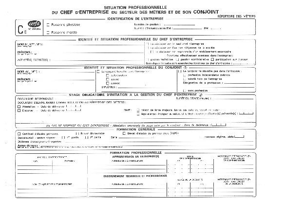Aperçu Formulaire Cerfa No 33-0005 : Situation professionnelle du chef d'entreprise du secteurs des métiers et de son conjoint